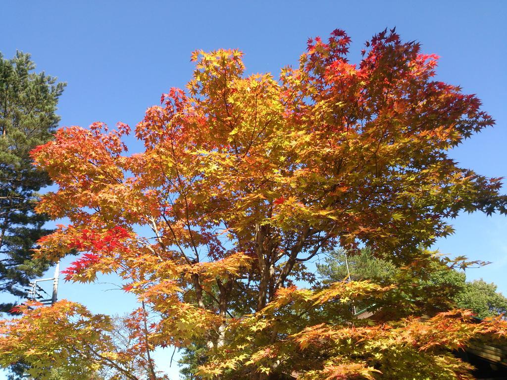 Runesu Karuizawa Kitakaruizawa Bagian luar foto